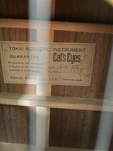 Tokai Cat