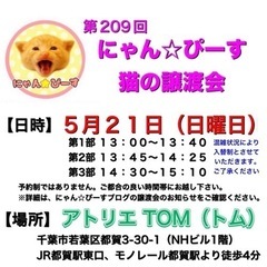 5月21日(日)🌸にゃん☆ぴーす猫の譲渡会🌸「アトリエTOM」J...