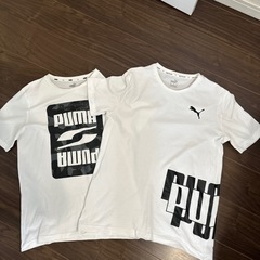 プーマTシャツ