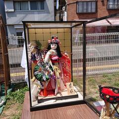日本人形🧚藤娘👯‍♂️！
