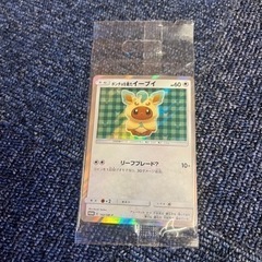 ポンチョを着たイーブイ リーフィア - トレーディングカード 