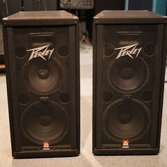 PEAVEY スピーカーペア　1210TLS 少し難あり