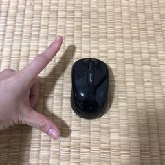 マウス(小さめサイズ)