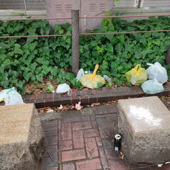 地域清掃ボランティア@名古屋栄 - 名古屋市