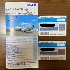 ANA グループ優待券 2枚