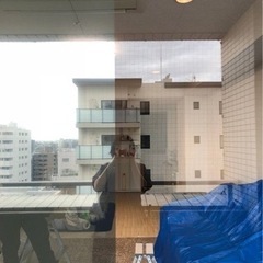 【神奈川県、東京都】フィルム施工のSEEDの画像