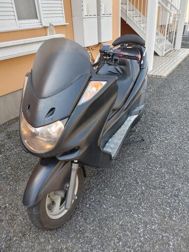 決まりそうです　マジェスティ250