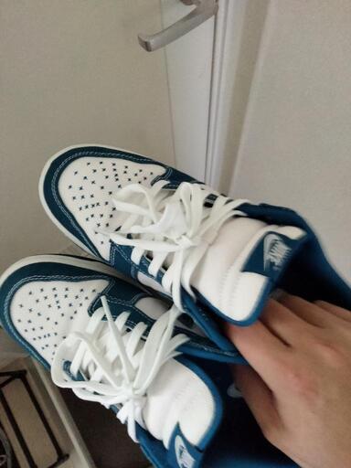 NIKE　ダンクローレトロ　27.5cm