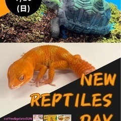 NEW REPTILES DAY