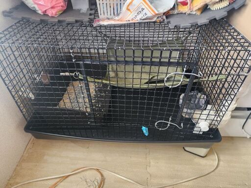 ふェレットゲージ