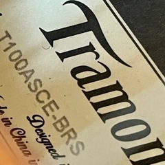 LAG Guitars ラグギター　T100ASCE-BRS 中古調整品