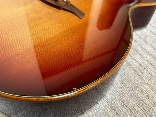 LAG Guitars ラグギター T100ASCE-BRS 調整品