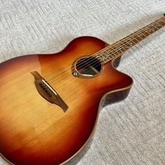 LAG Guitars ラグギター　T100ASCE-BRS 中...