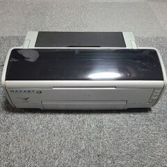 EPSON Maxart 5500