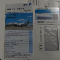 【受渡者決定】ANA株主優待券（2024年5月31日搭乗分まで）