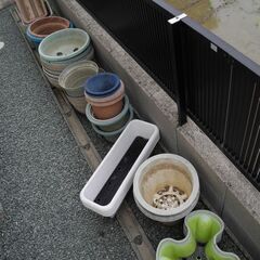 観音寺 無料 プランター 植木鉢 プラスチック製 大量 古いです...