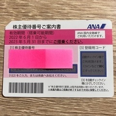 ANA株主優待券500円