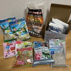 ヤドカリ飼育セット