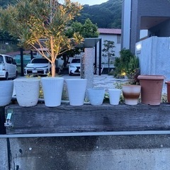 植木鉢　花　観葉植物　鉢　器　容器　カラツ　プラ