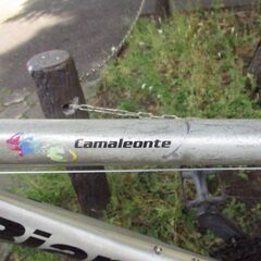 クロスバイク　ビアンキ　カメレオンテ