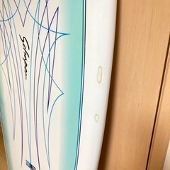 South Point Surf Board Schaper  フィッシュ　サーフボード　5’10　ツインフィン