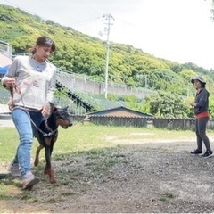 ５月26日☀️夜須で犬のしつけ教室開催🙋‍♀️🐕