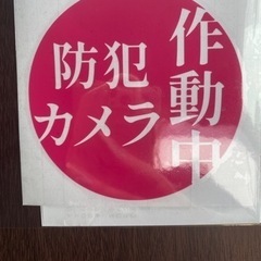 防犯カメラ カッティングステッカー✨