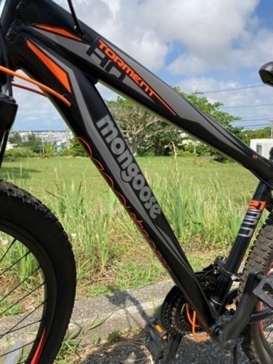 Mongoose マングース