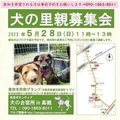 「犬の合宿所in高槻」で保護・里親募集している犬達の里親募集会を...