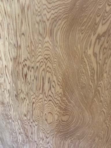 屋久杉