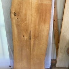 榎木 えのき 木板