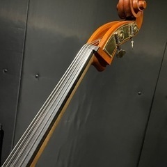 グリガ　コントラバス　