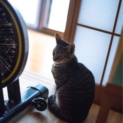 仲良し兄弟 − 宮城県