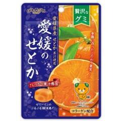 愛媛のせとかグミ販売店　ネット以外で