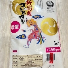 新潟産 コシヒカリ お米5キロ ➕ 250g増量　麺つゆ4袋おまけ付き