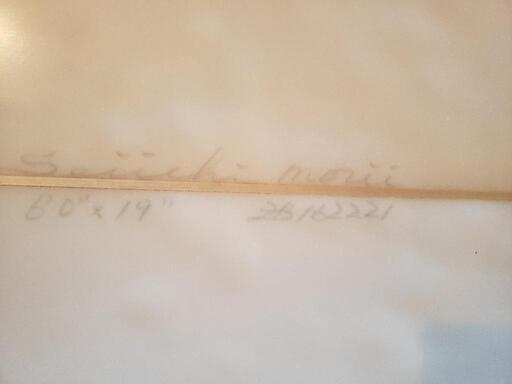 ゼブラサーフボード ZBURH サーフボード 5´11 ゼブラ プリズムPRIZM