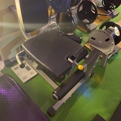 アイロンテック　レッグエクステンション/カール