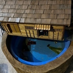 丸太の池、丸太、切り抜き丸太、金魚の池、丸太のプランター 丸太の池、丸太、切り抜き丸太、金魚の池、丸太のプランター 丸太の池