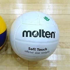 レクバレー🏐メンバー募集