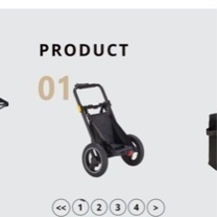 Camily（キャミリー）サイクルトレーラー　CT-001