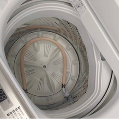 ☆Panasonic☆ （2019年製）自動洗濯機5.0kg
