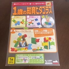 知育玩具　1歳の知育ピタゴラス