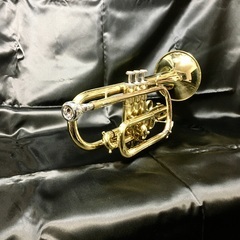 ヤマハ YAMAHA コルネット YCR-2311 メンテナンス済！初心者オススメです！