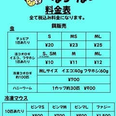 爬虫類 餌の料金表更新しました