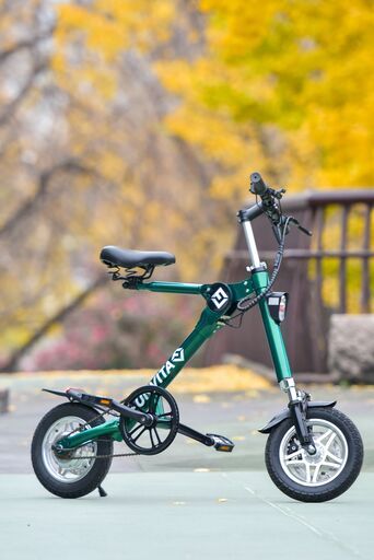新品!! 折り畳み 電動アシスト自転車 自転車 電動自転車 公道走行可能 軽量  メタリックグリーン 本州限定