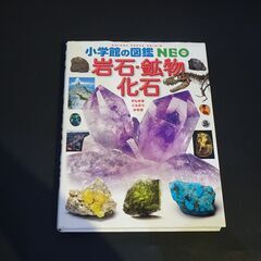 小学館の図鑑NEO　岩石・鉱物・化石