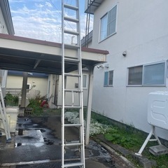 2連梯子お得です