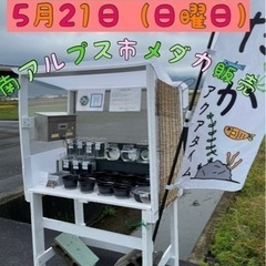 5月21日（日）10:00〜4:30（改良メダカ、めだか）今週は...