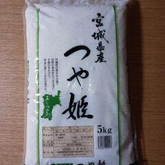 米 白米  つや姫 宮城県産 令和4年産 白米5kg
