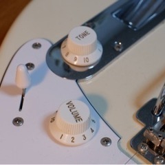 Ibanez TM730-IV Ivory (ホワイトピックガード仕様)